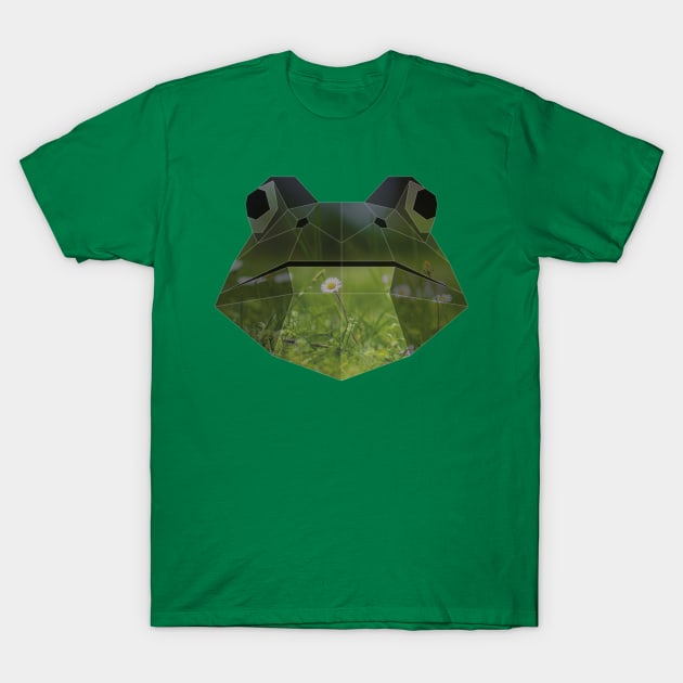 Frog Low Poly Double Exposure Art T-Shirt by Jay Diloy